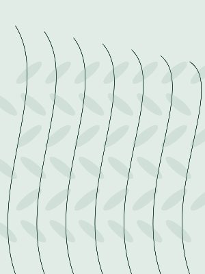 Ботанические линии / Шалфей