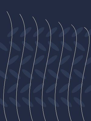 Ботанические линии / Полночь