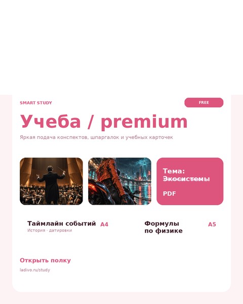 Учеба / авторский макет
