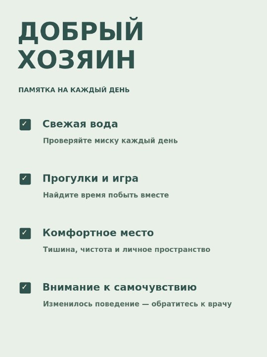 Забота по пунктам · памятка