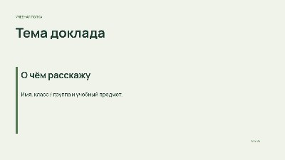 Доклад по учебной теме